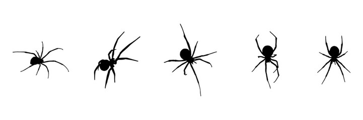 group spider silhouette illustration  background for a halloween day