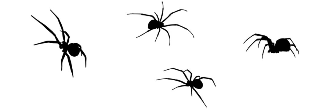 group spider silhouette illustration  background for a halloween day