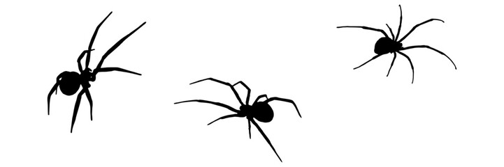 group spider silhouette illustration  background for a halloween day