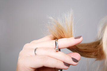 Close up female hands holding split ends hair. Blond damaged hair concept 