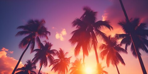Nostalgic 1980s Synthwave Aesthetic Palm Trees and Palmettos. Concept Nostalgic 1980s, Synthwave Aesthetic, Palm Trees, Palmettos