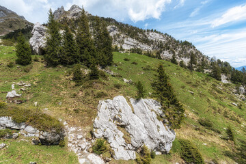 mount pilatus cogwheel train view