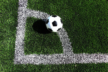 Football on the grass