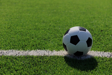 Football on the grass
