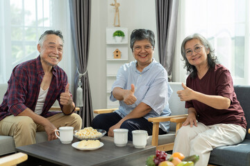 Happy Senior friends group meet and spend leisure time with happy in living room