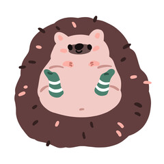 Cute funny hedgehog. Happy kawaii forest animal wearing warm wool socks on feet. Adorable sweet baby character in winter. Childish kids flat illustration isolated on white background
