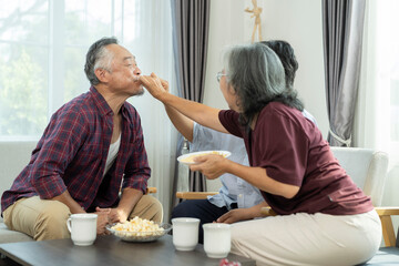 Happy Senior friends group meet and spend leisure time with happy in living room