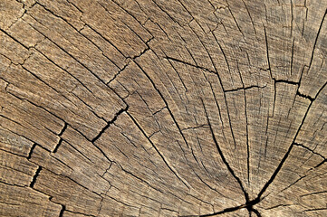 Abstract wooden background