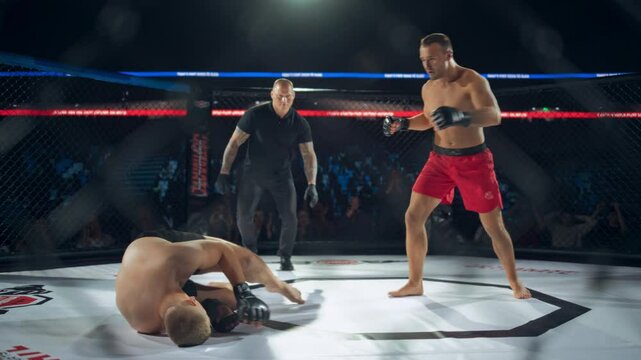 Mixed Martial Artists Having a Fierce Middleweight Battle Inside an Octagon Ring. Male Ultimate Kickboxers Putting On a Show, Successful Fighter Delivers a Fatal High Kick and Knocking Out the Enemy