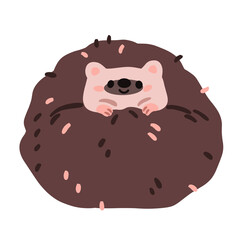 Cute hedgehog curled up. Funny forest animal. Kawaii adorable lazy character in comic pose with peeping face from needles, spikes. Kids flat illustration isolated on white background