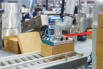 Automated Robotic Arm in Industrial Packaging
