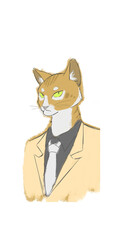 Suit cat