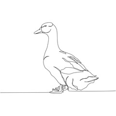 poultry, goose one line art. Continuous line drawing of farm, nature, agriculture, farm animals, rural life, ranch.