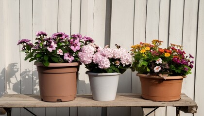 basket with vegetables