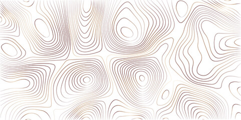Transparent PNG Topographic line map. Modern design with White background with topographic wavy pattern design.	