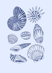 Seashell collection, summer beach, seashell set. Blue shells, poster, print.