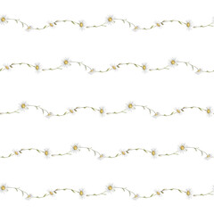 Watercolor seamless pattern with strip of chamomile or daisy. Ornament with blossom flowers and green leaves. Hand drawing floral print illustration on isolated background.