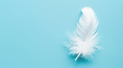 Concept of purity and simplicity symbolized by white feather on blue background