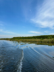 A vast expanse of a serene water body covered with lush green lily pads, extending towards the horizon under a calm and cloudy sky. The tranquil scene is accentuated by the reflection of the sky and c