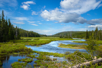 Obraz premium River running through Yellowstone National Park