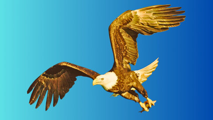 Eagle in flight caught with fish