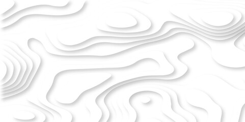 Luxury abstract lines Modern white carve wave line abstract luxury 3d papercut background. vector minimal topography map light element shadow landscape wave element curve graphic papercut design.
