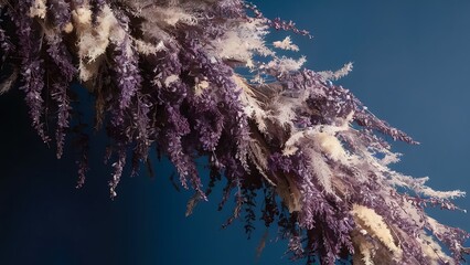 Dry purple and white flowers on the blue background