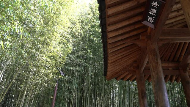 Traditional pavilion and bamboo forest at Taehwagang National Garden in Ulsan, Korea