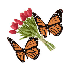 butterfly illustration