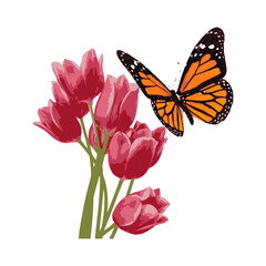 butterfly illustration