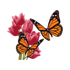 butterfly illustration