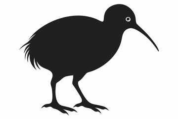 Kiwi Bird Silhouette Vector, kiwi bird animal Vector illustration
