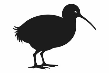 Kiwi Bird Silhouette Vector, kiwi bird animal Vector illustration
