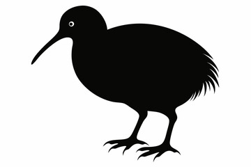 Kiwi Bird Silhouette Vector, kiwi bird animal Vector illustration
