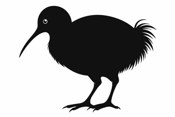 Kiwi Bird Silhouette Vector, kiwi bird animal Vector illustration
