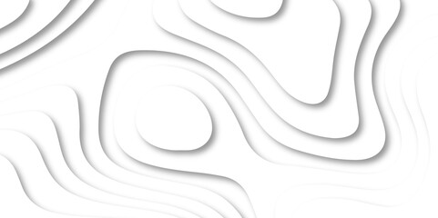 Luxury abstract lines Modern white carve wave line abstract luxury 3d papercut background. vector minimal topography map light element shadow landscape wave element curve graphic papercut design.