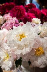 Different varieties of peonies collected in bouquets