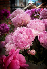 Different varieties of peonies collected in bouquets