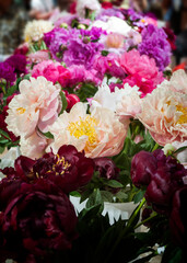 Different varieties of peonies collected in bouquets