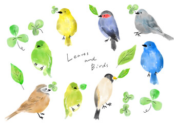透過背景　四つ葉のクローバーをくわえるかわいい小鳥　手書きイラスト　絵本　絵　セット　葉　
