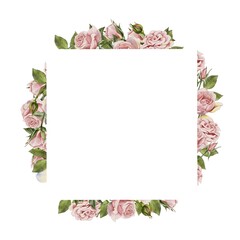 Vintage pink roses square frame watercolor illustration. Wedding stationary, greetings, fashion, background. For fabric textile design or Product packaging
