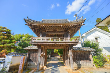 Fototapeta premium 洞春寺