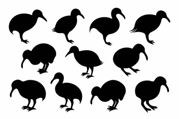 Kiwi Bird Silhouette Vector set, set of kiwi bird animal Vector illustration

