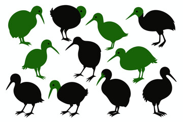 Kiwi Bird Silhouette Vector set, set of kiwi bird animal Vector illustration


