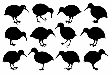 Kiwi Bird Silhouette Vector set, set of kiwi bird animal Vector illustration

