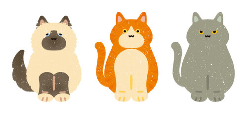 trendy simple cartoonish fluffy cat kitten kitty characters cute animal set icons hand drawn illustration style picture book children's book transparent background Birman British American Shorthair