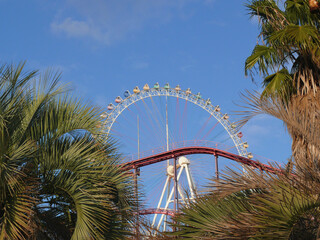 Fototapeta premium 山頂の観覧車とジェットコースター。 倉敷市鷲羽山ハイランド。