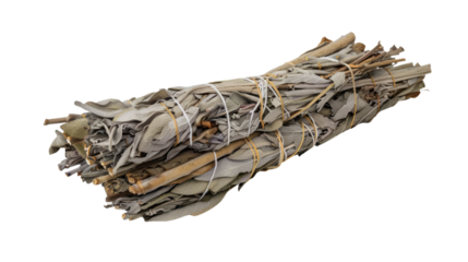 Photograph of a bundle of sage smudging sticks, their smoky aroma filling the air, depicted on a transparent background.