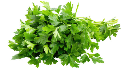 Obraz premium Photograph of a bunch of fresh parsley, its flat leaves and mild flavor, showcased on a transparent canvas.