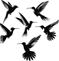 Obraz premium Hummingbird Silhouettes set.